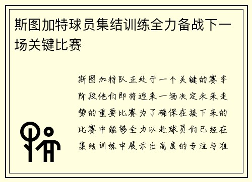 斯图加特球员集结训练全力备战下一场关键比赛