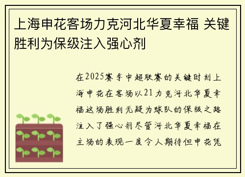 上海申花客场力克河北华夏幸福 关键胜利为保级注入强心剂